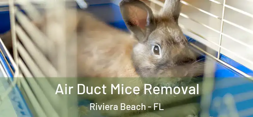 Air Duct Mice Removal Riviera Beach - FL
