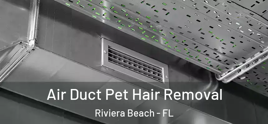 Air Duct Pet Hair Removal Riviera Beach - FL
