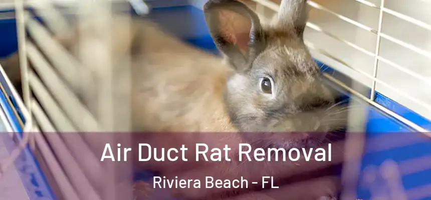 Air Duct Rat Removal Riviera Beach - FL