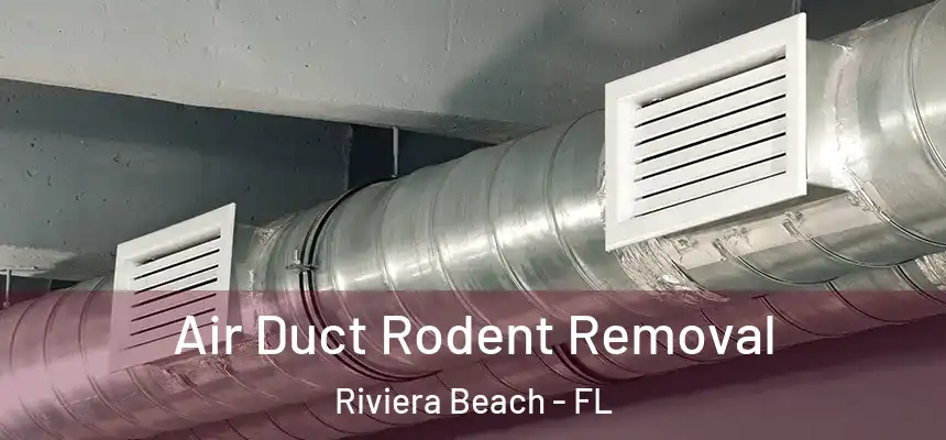 Air Duct Rodent Removal Riviera Beach - FL
