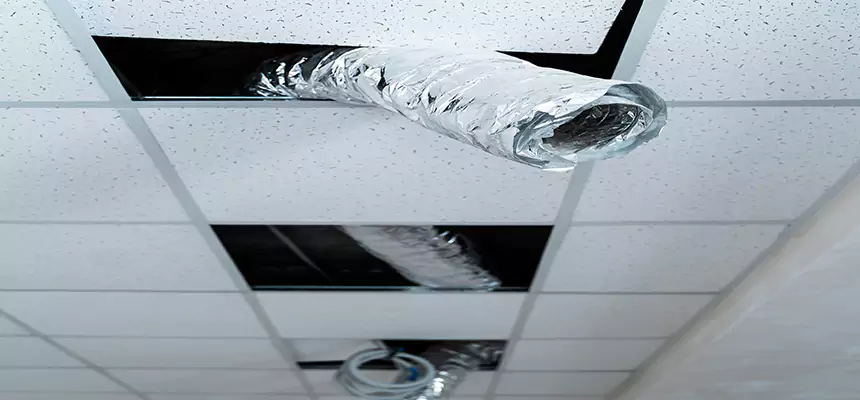 Our Air Duct Pet Hair Removal Services in Riviera Beach, FL