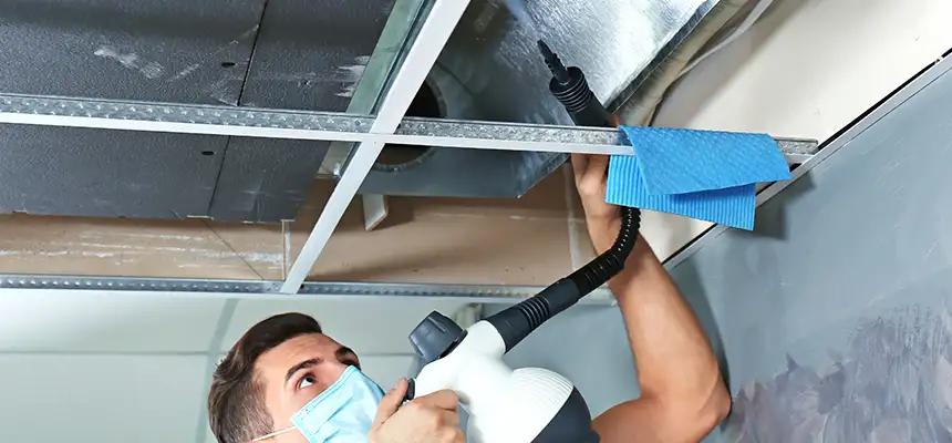 Our Air Duct Rodent Removal Services in Riviera Beach, FL