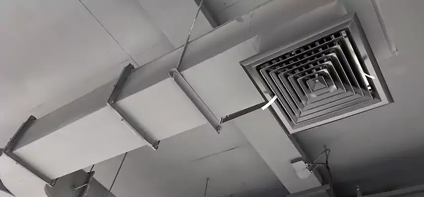 Restorative Allergy Relief Vent Cleaning – Coil, Blower & Housing Detail in Riviera Beach