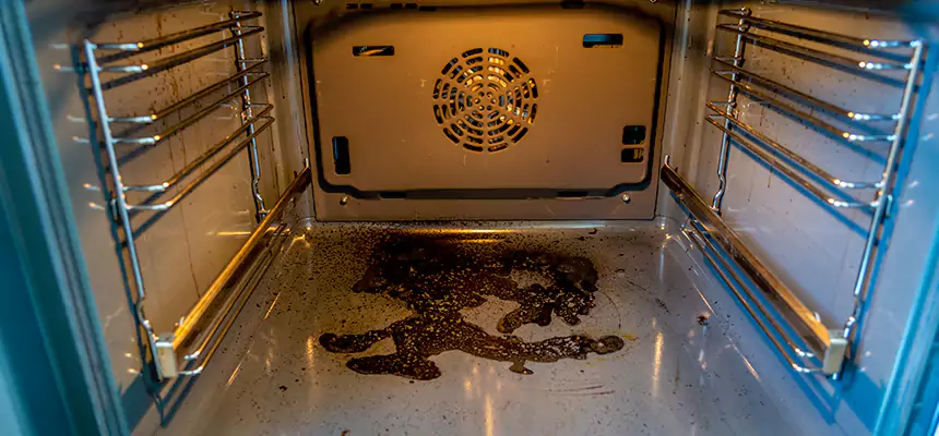 Our Dryer Vent Mold Cleaning Services in Riviera Beach, FL