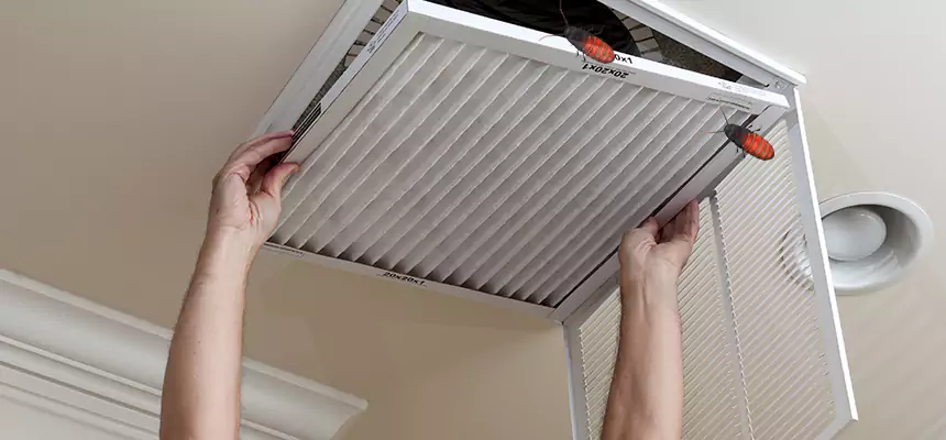 Our Insect Removal from Air Ducts Services in Riviera Beach, FL