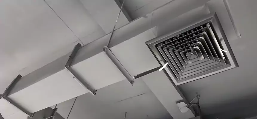Our Pest Removal From Ducts Services in Riviera Beach, FL
