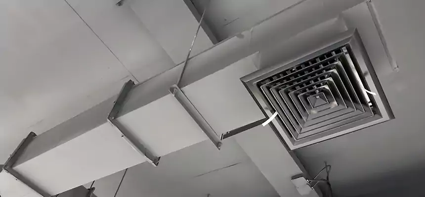 Our Rodent Droppings In Vents Services in Riviera Beach, FL