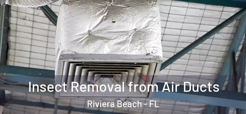Insect Removal from Air Ducts Riviera Beach - FL