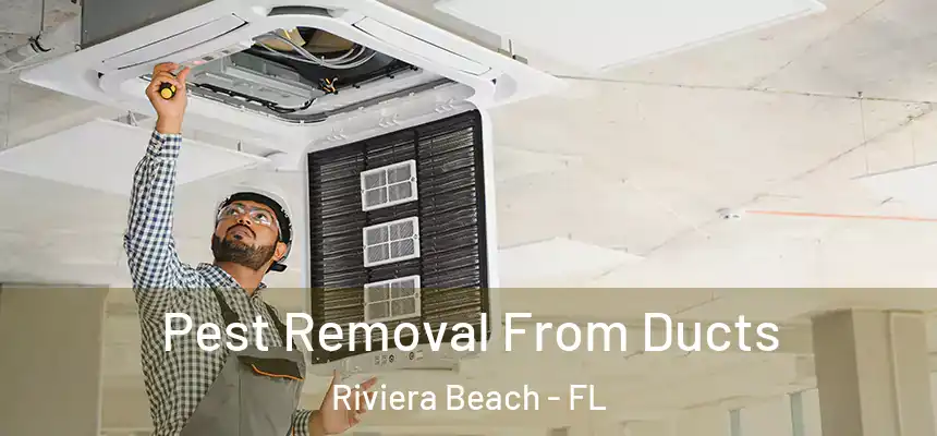 Pest Removal From Ducts Riviera Beach - FL