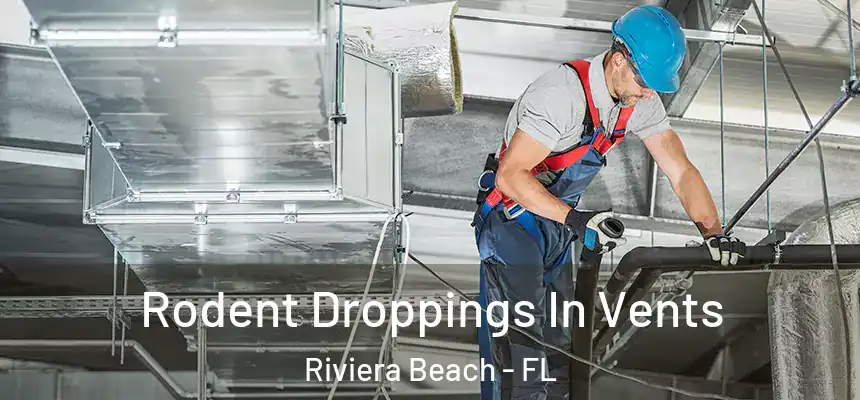 Rodent Droppings In Vents Riviera Beach - FL