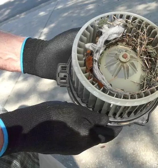 About Air Duct Mice Removal in Riviera Beach, FL