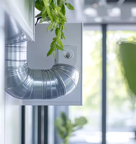 Professional Eco-Safe Dryer Vent Cleaning in Riviera Beach, FL