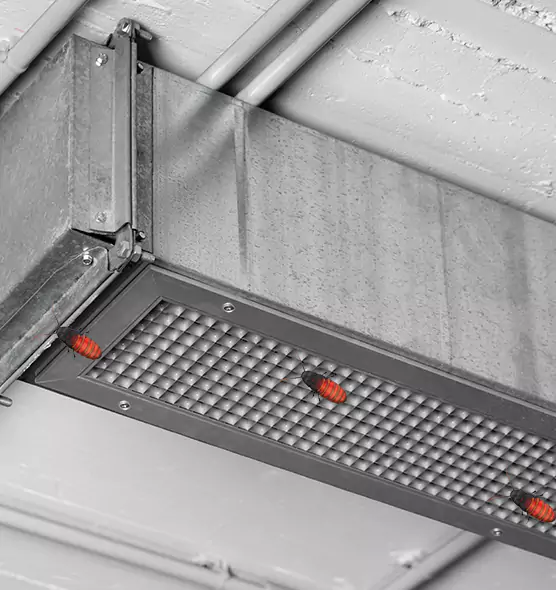 Affordable Insect Removal from Air Ducts in Riviera Beach, FL