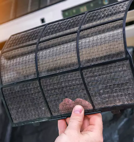 About Pet Dander Duct Cleaning in Riviera Beach, FL